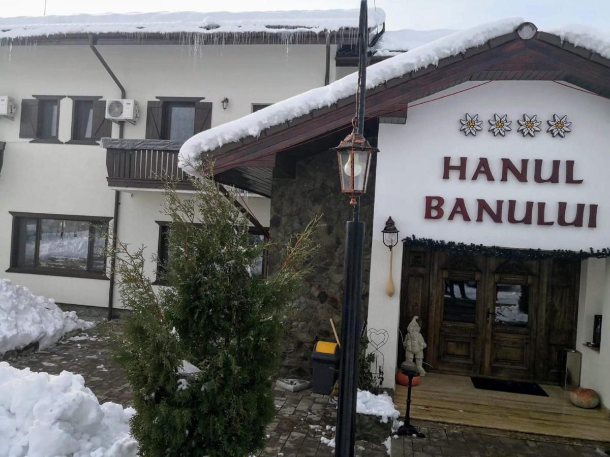 Complex Transalpina Aninisu din Vale Exterior foto