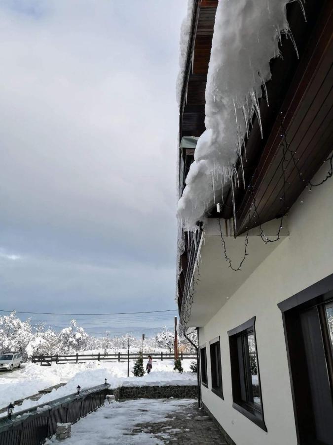 Complex Transalpina Aninisu din Vale Exterior foto